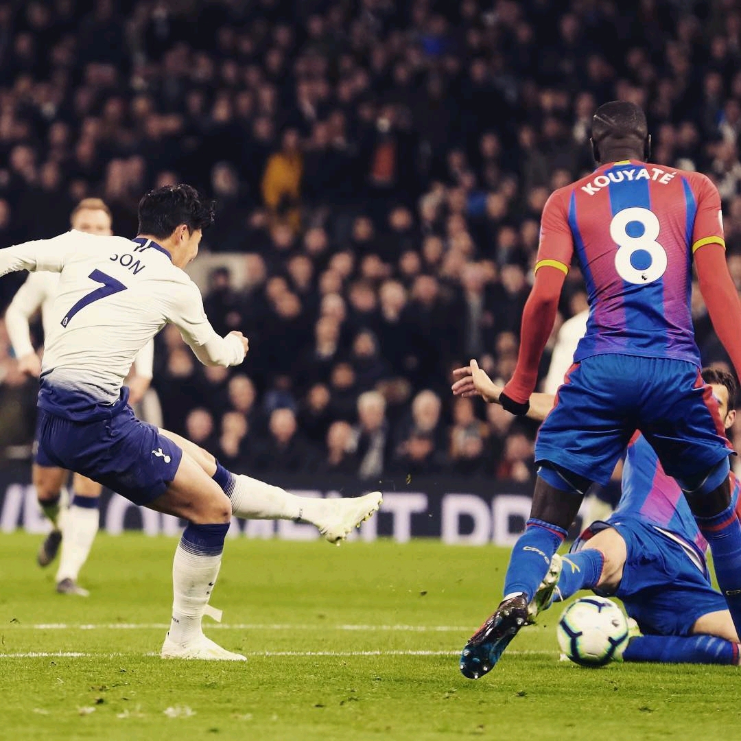 有不少球迷 有不少球迷