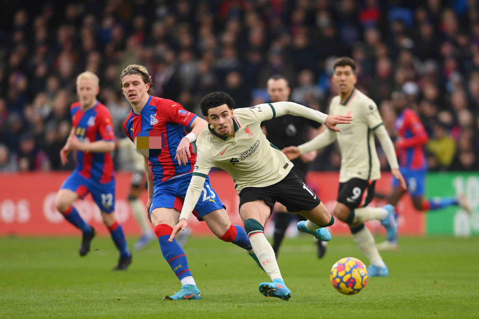 感受世界自 感受世界自